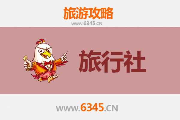 自贡贡井区旅行社全攻略：探索盐都历史与灯会奇观的完美向导